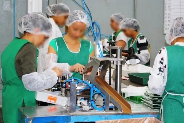 Imagem ilustrativa de Terceirização de montagem